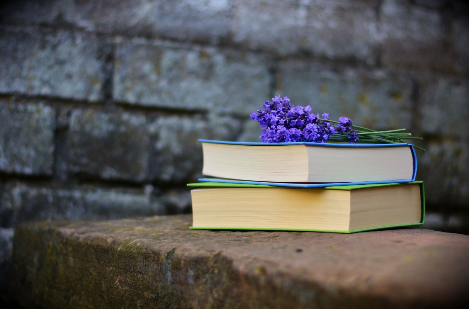 Nikon D5200 sample photo. Books, read, literature photography