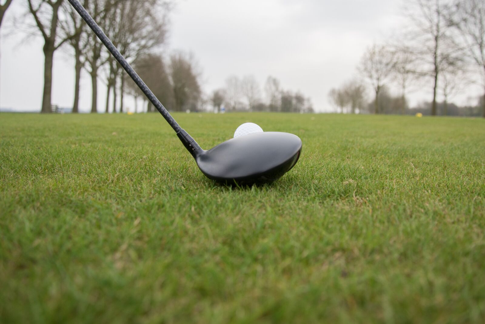 Nikon D600 sample photo. Golf, playing, swing photography