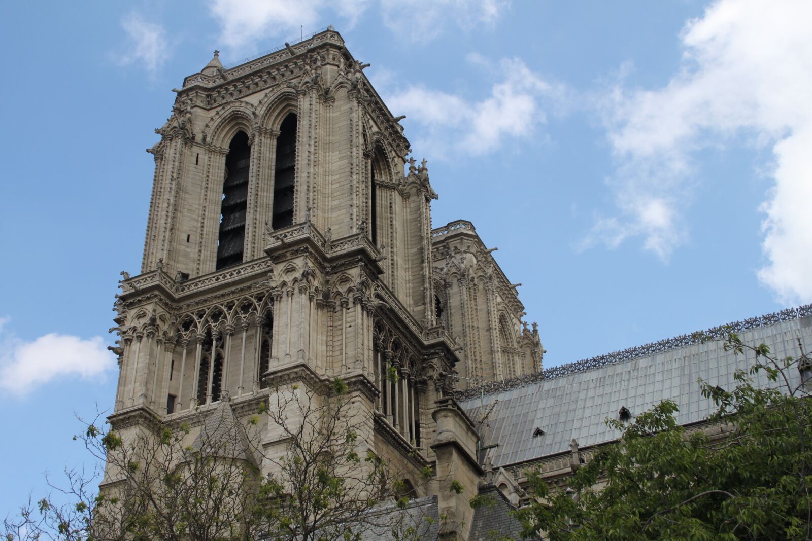 Canon EOS 500D (EOS Rebel T1i / EOS Kiss X3) sample photo. France, paris, notre dame photography
