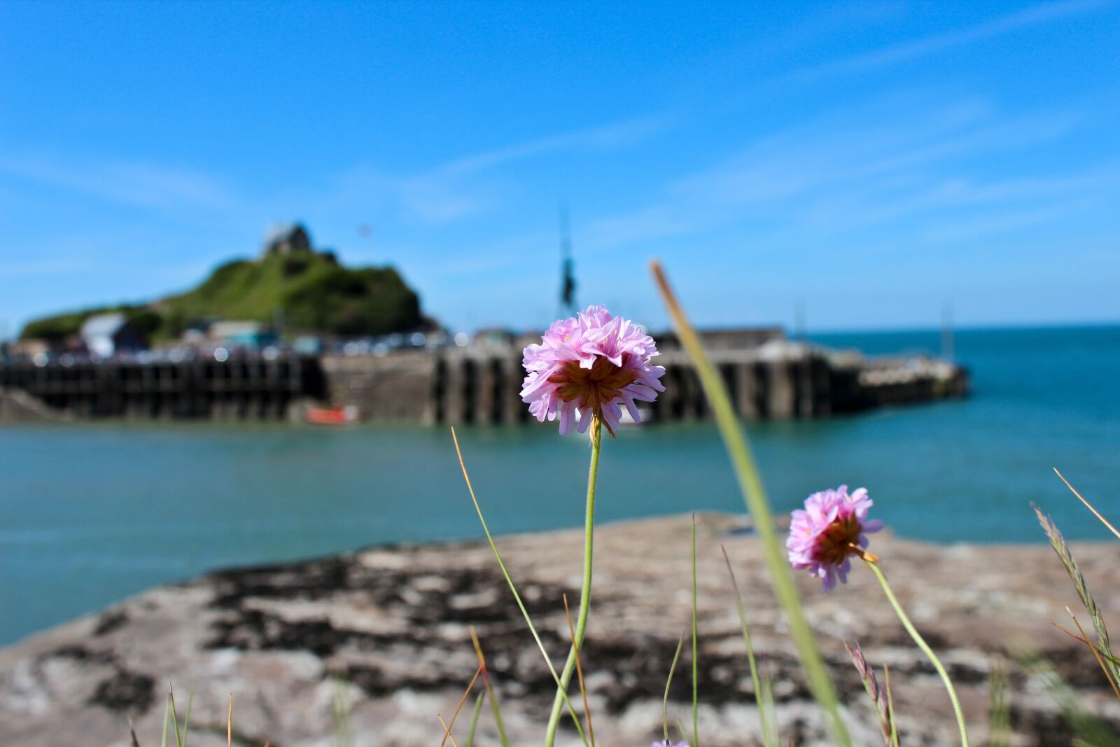 Canon EOS 600D (Rebel EOS T3i / EOS Kiss X5) sample photo. Ilfracombe, verity, damien hirst photography