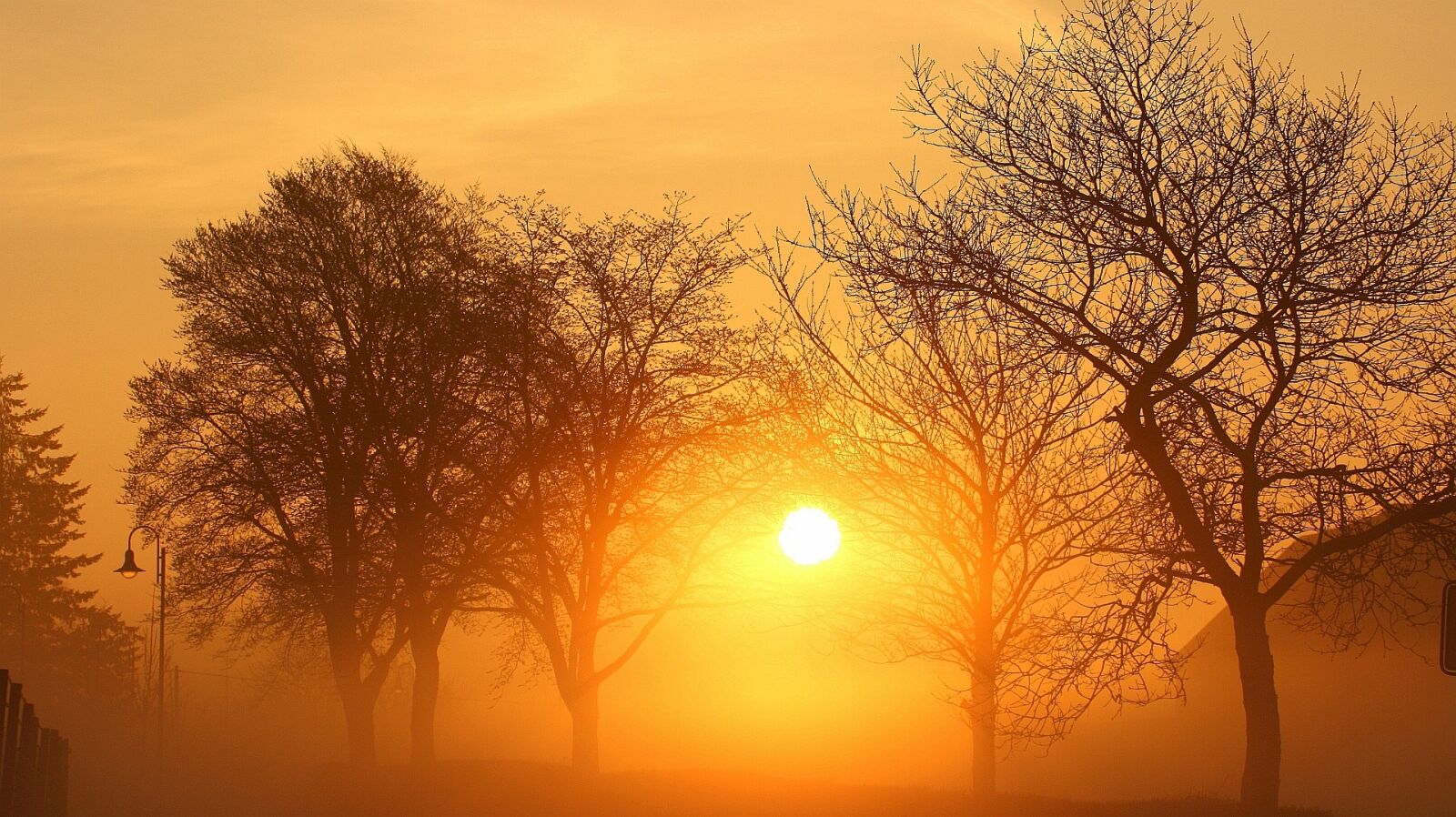 Canon EOS 1000D (EOS Digital Rebel XS / EOS Kiss F) sample photo. Eifel, sunrise, landscape photography