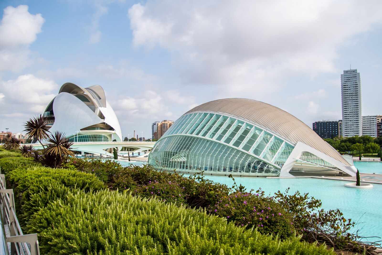 Nikon D7500 sample photo. Valencia, city of arts photography