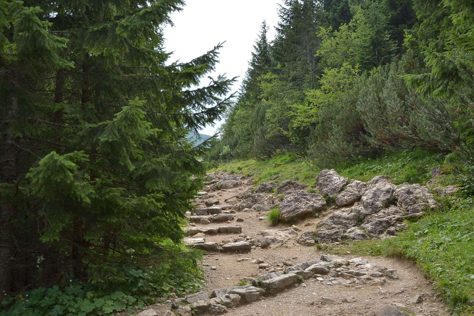 Nikon D3100 sample photo. Buried, mountains, hala g photography