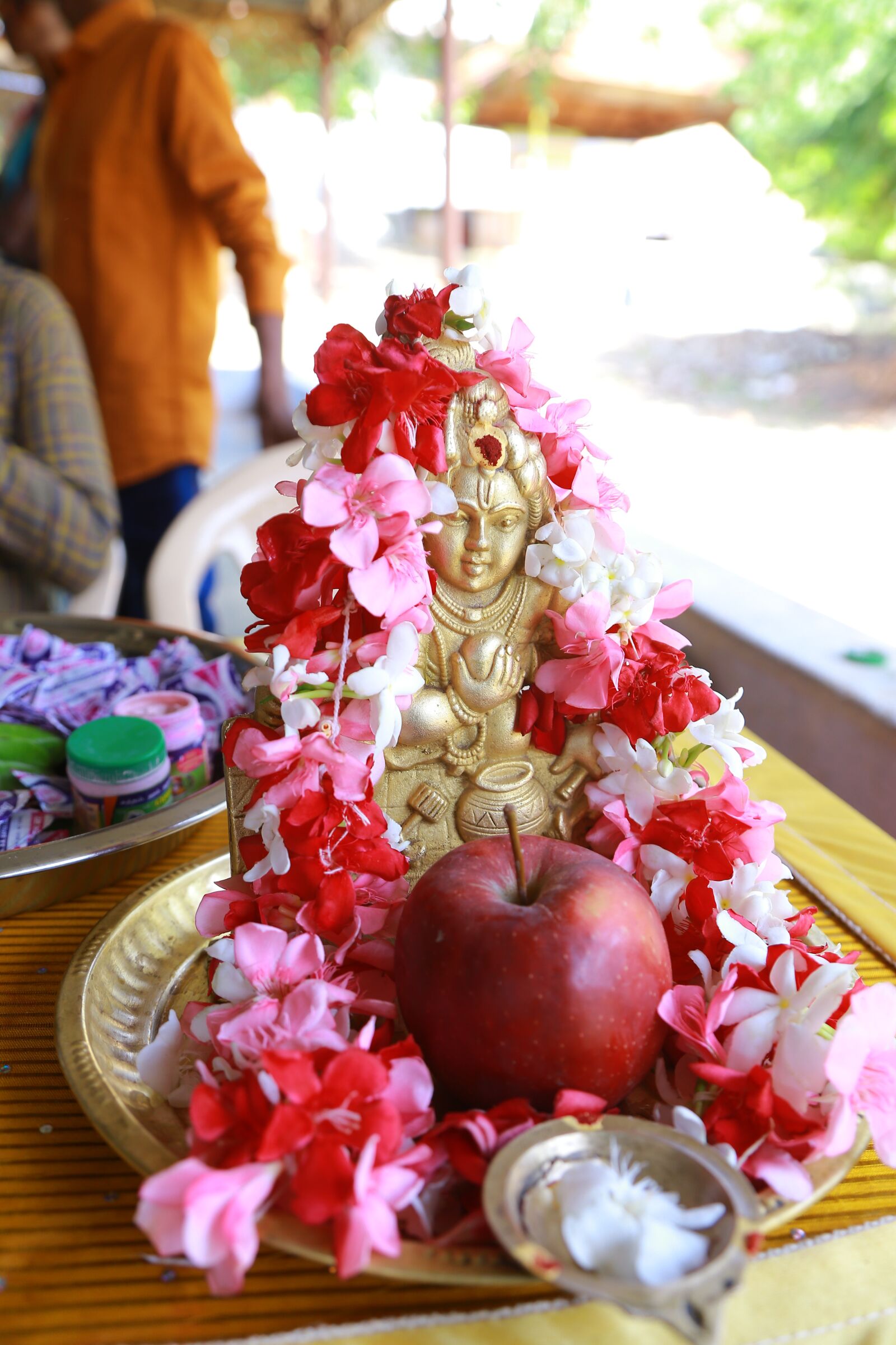 Canon EOS 6D + Canon EF 24-105mm F4L IS USM sample photo. Lord, krishna, god photography