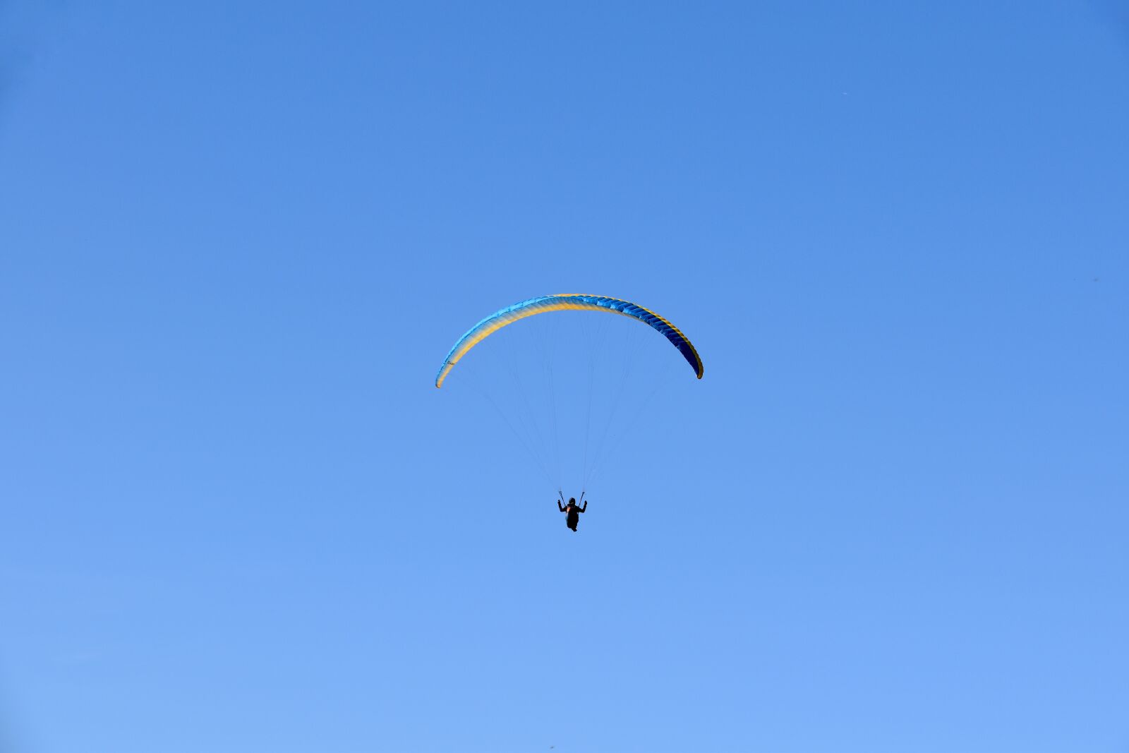 Nikon D5600 sample photo. Paragliding, paraglider, sailing photography