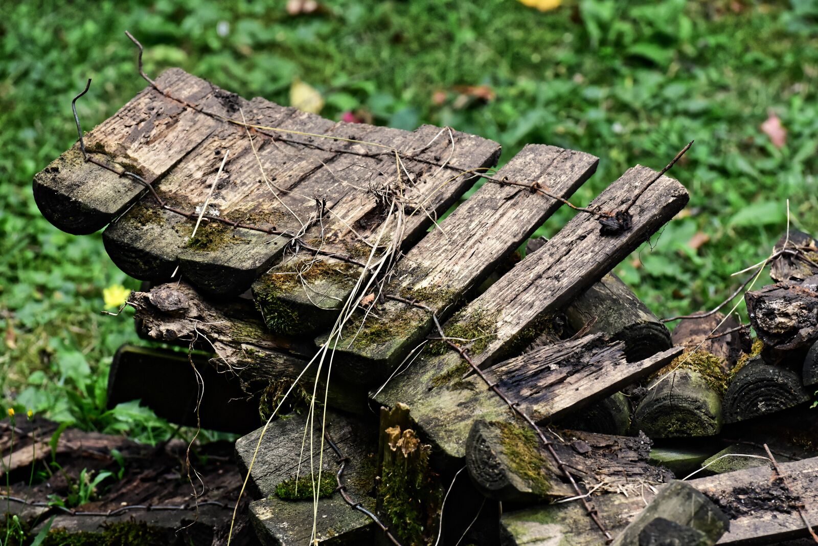 Nikon D7200 sample photo. Wood, broken, fence photography