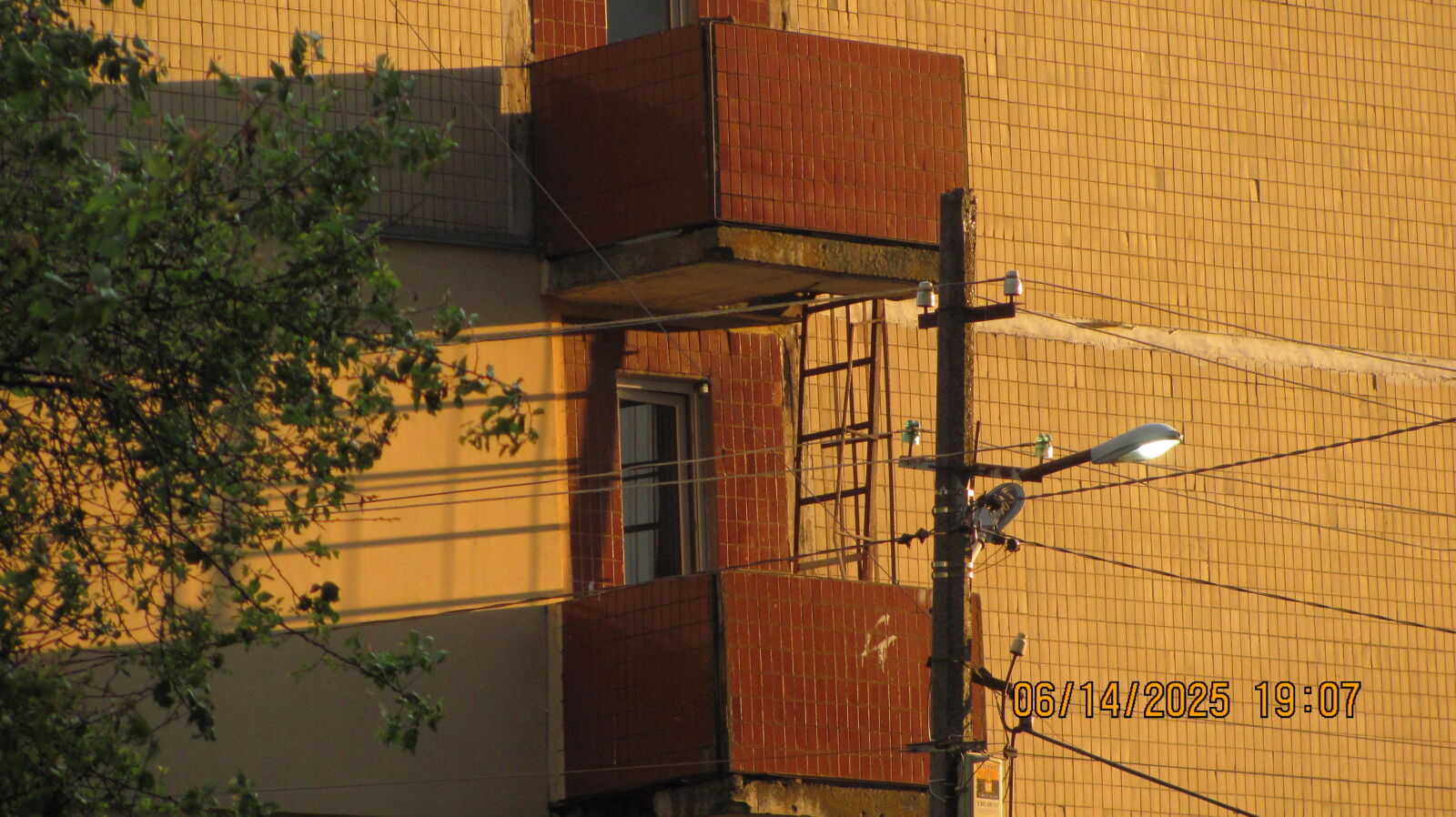 Canon PowerShot SX120 IS sample photo