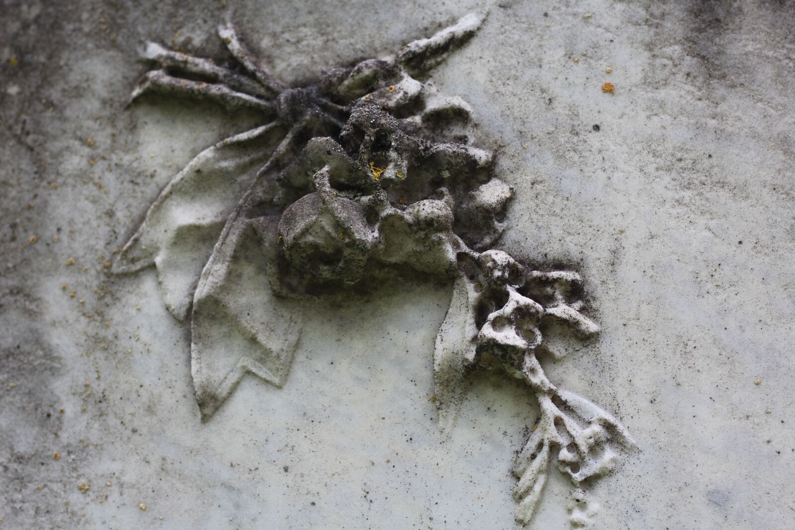 Canon EOS 1200D (EOS Rebel T5 / EOS Kiss X70 / EOS Hi) + Canon EF 50mm F1.8 STM sample photo. Tombstone, ornament, jewish cemetery photography