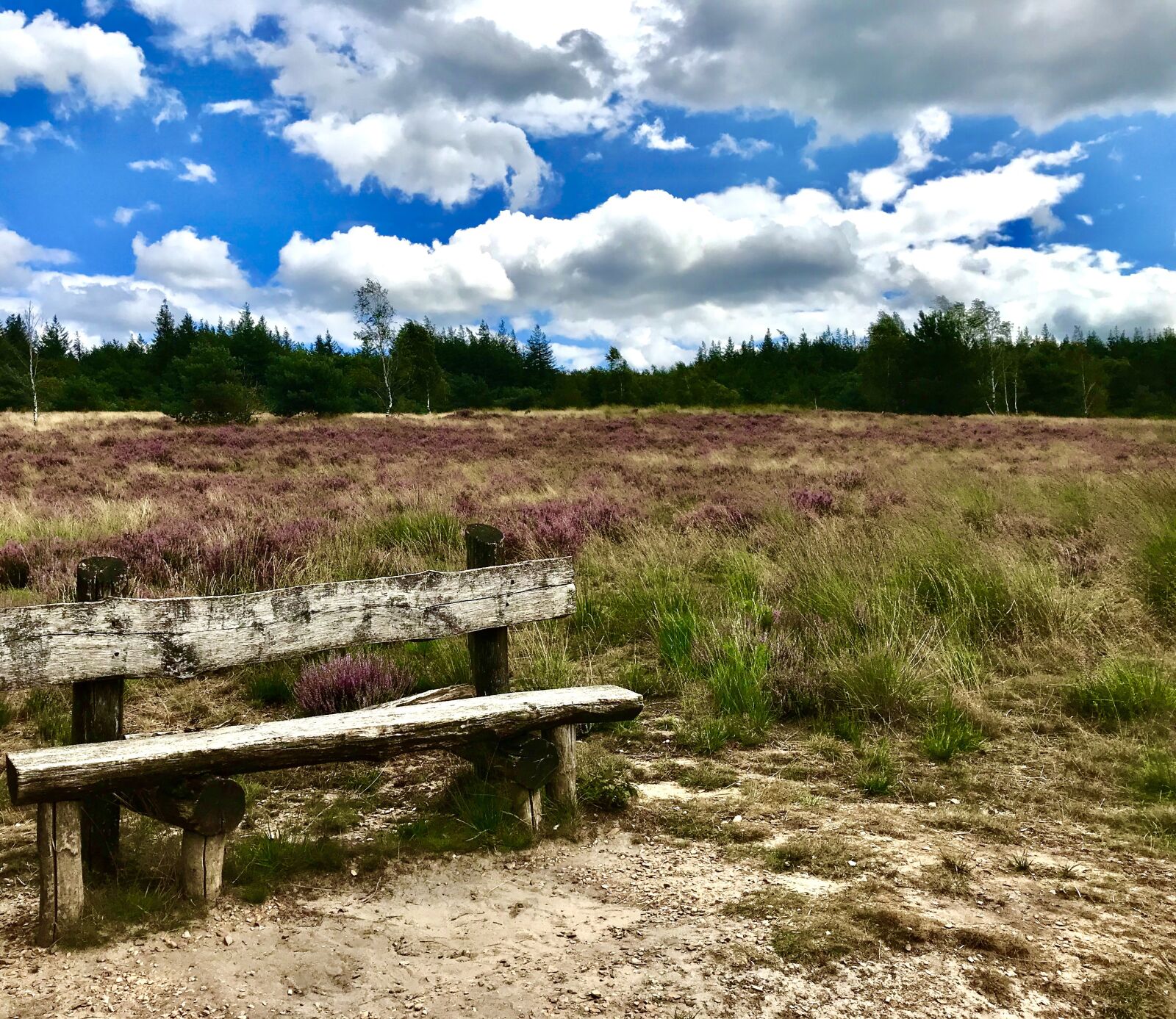 Apple iPhone 7 sample photo. Hei, landscape, nature photography