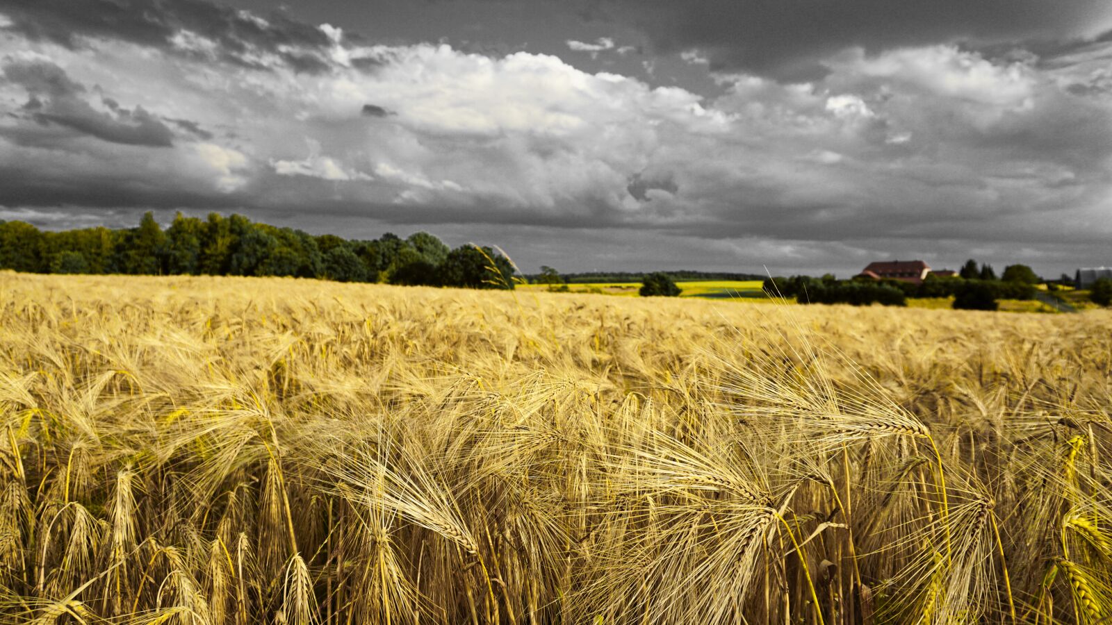 Sony a6000 sample photo. Field, nature, clouds photography