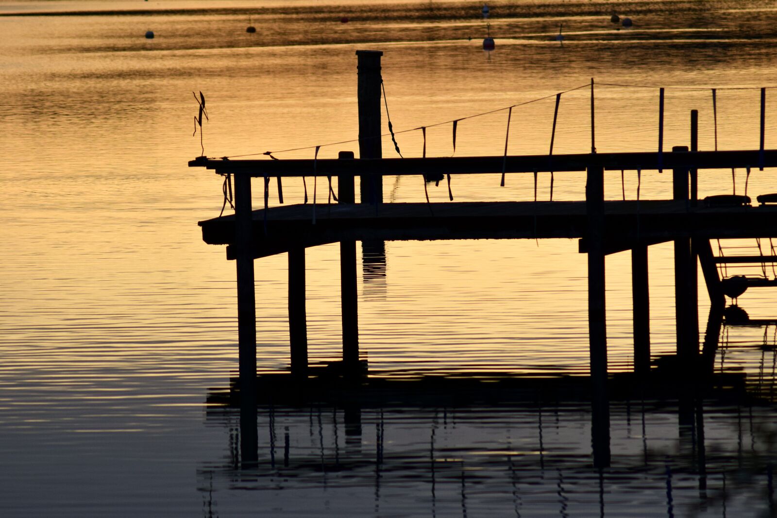 Nikon D3300 sample photo. Web, water, lake photography