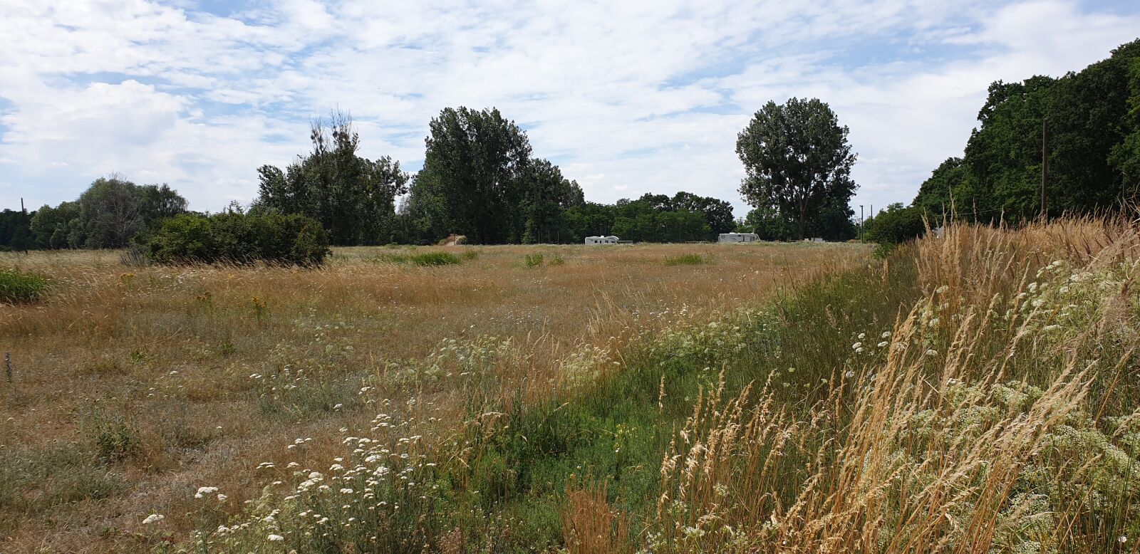 Samsung Galaxy S9 sample photo. Brandenburg, pasture, landscape photography