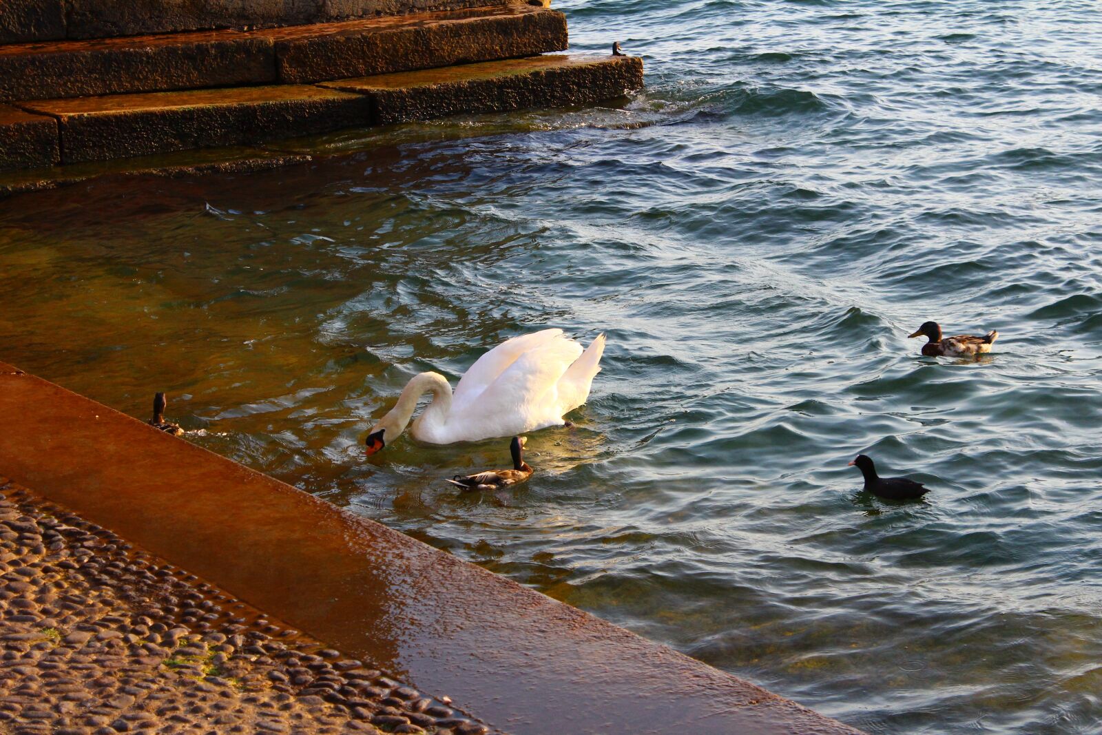 Canon EOS 600D (Rebel EOS T3i / EOS Kiss X5) sample photo. Lake, pond, water photography