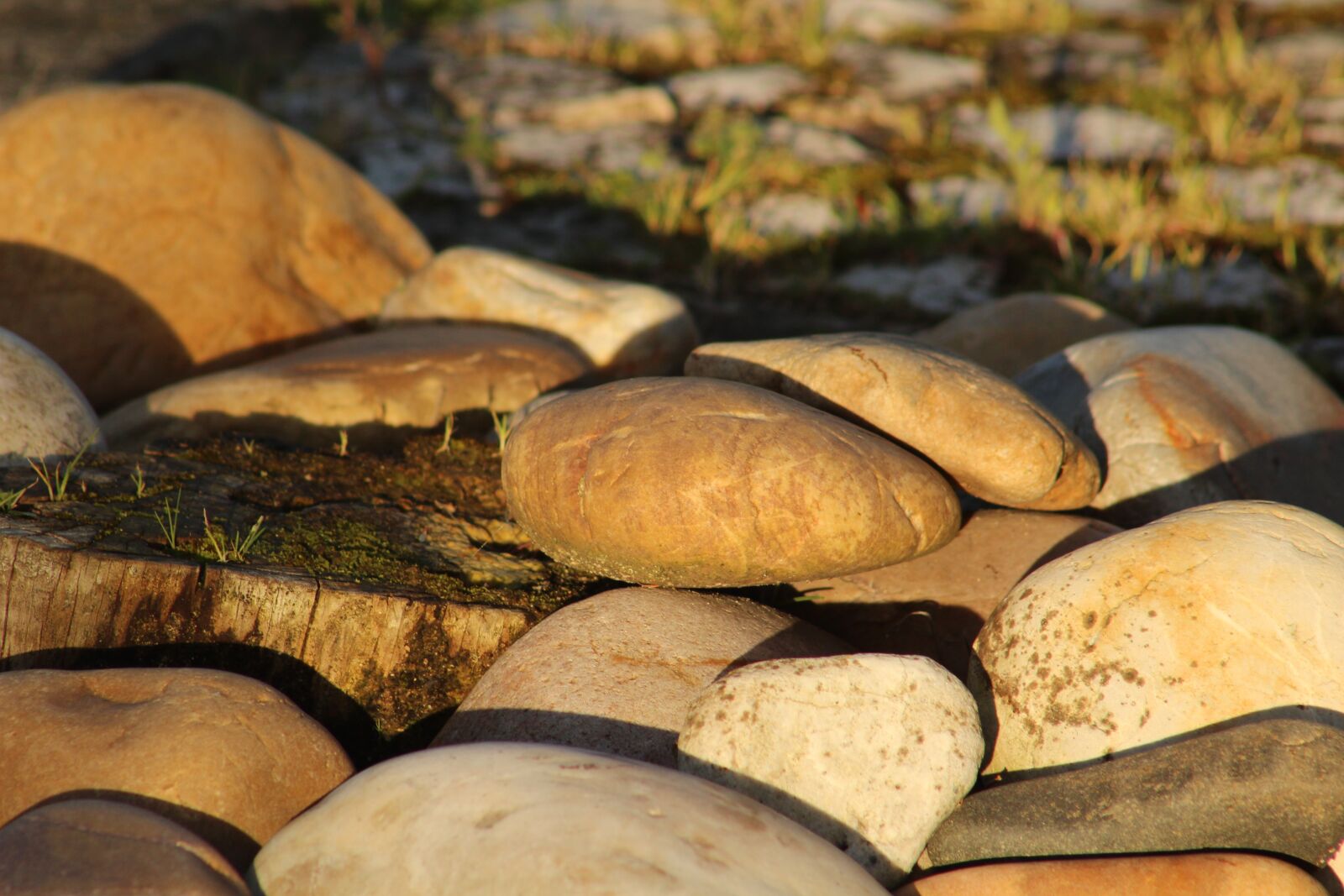 Canon EF 75-300mm f/4-5.6 sample photo. Stones, deforestation, boulders photography