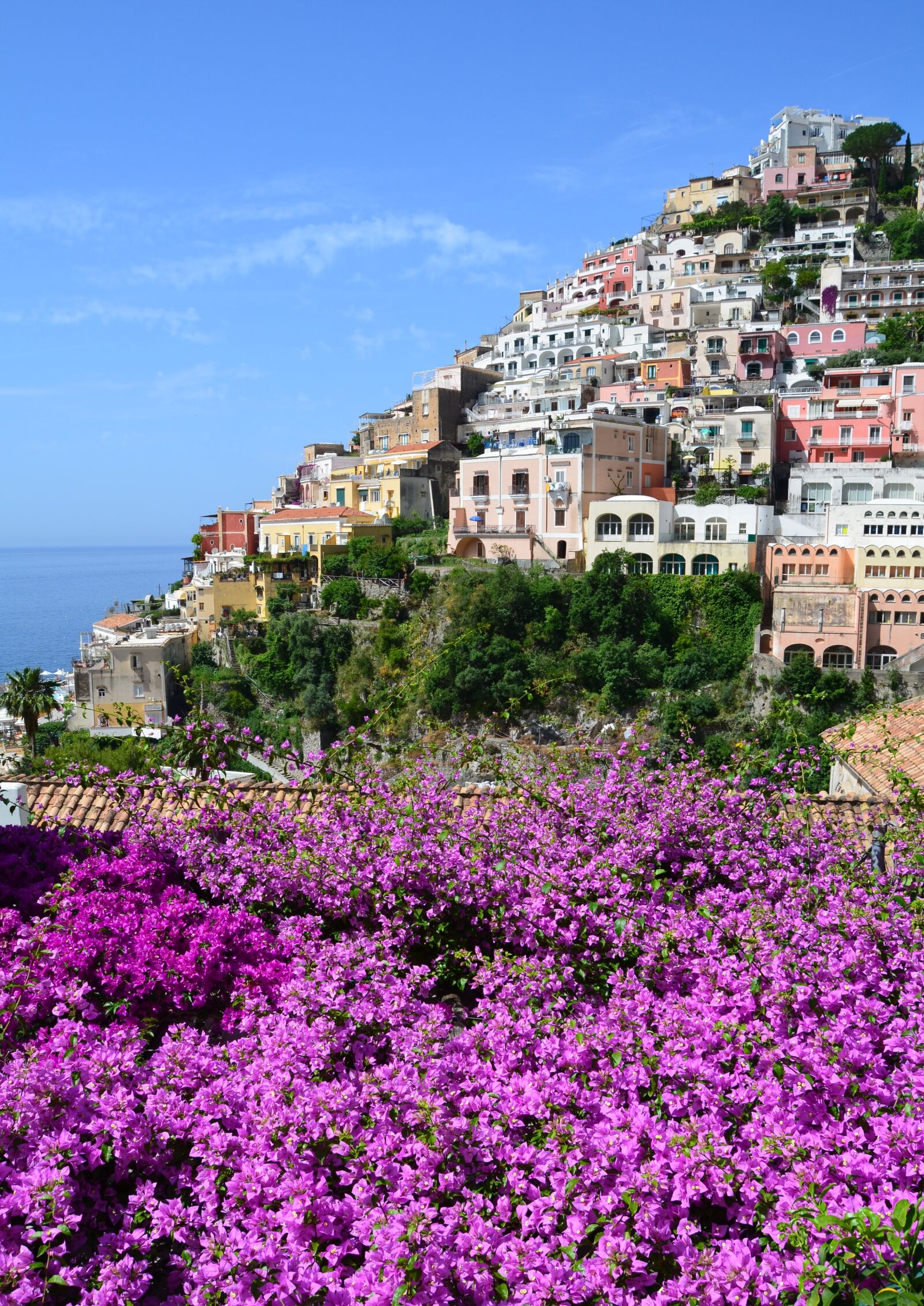 Nikon D5100 sample photo. Positano, bougainvillea, costiera photography