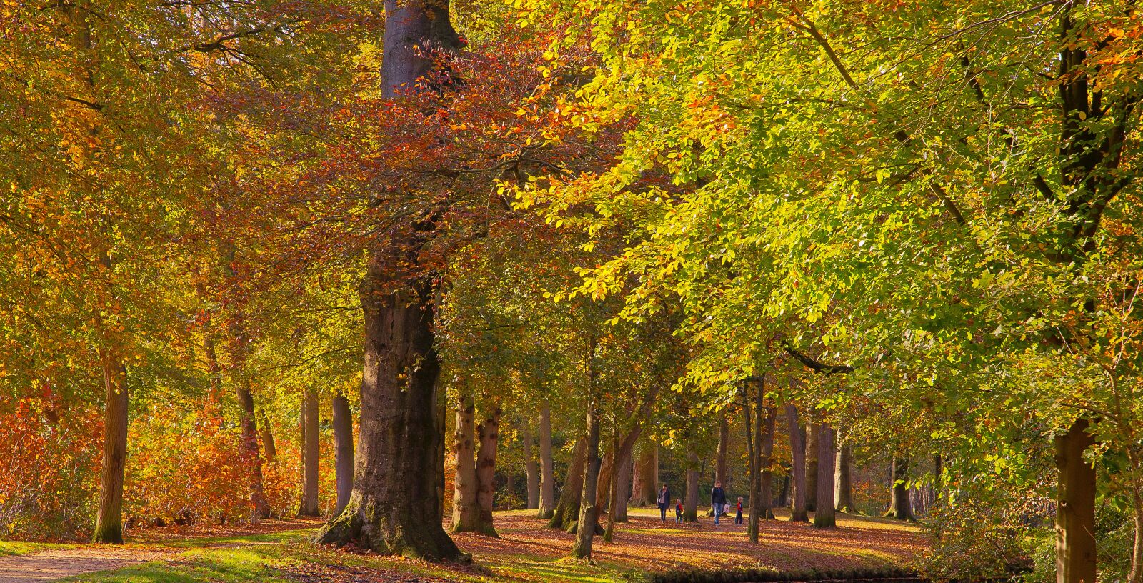Canon EOS 6D + Canon EF 24-105mm F4L IS USM sample photo. Koniging emmapark, baarn, groenenveld photography