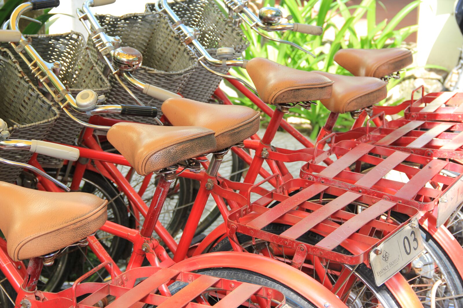 Canon EOS 550D (EOS Rebel T2i / EOS Kiss X4) sample photo. Vietnam, hoian, cycling photography