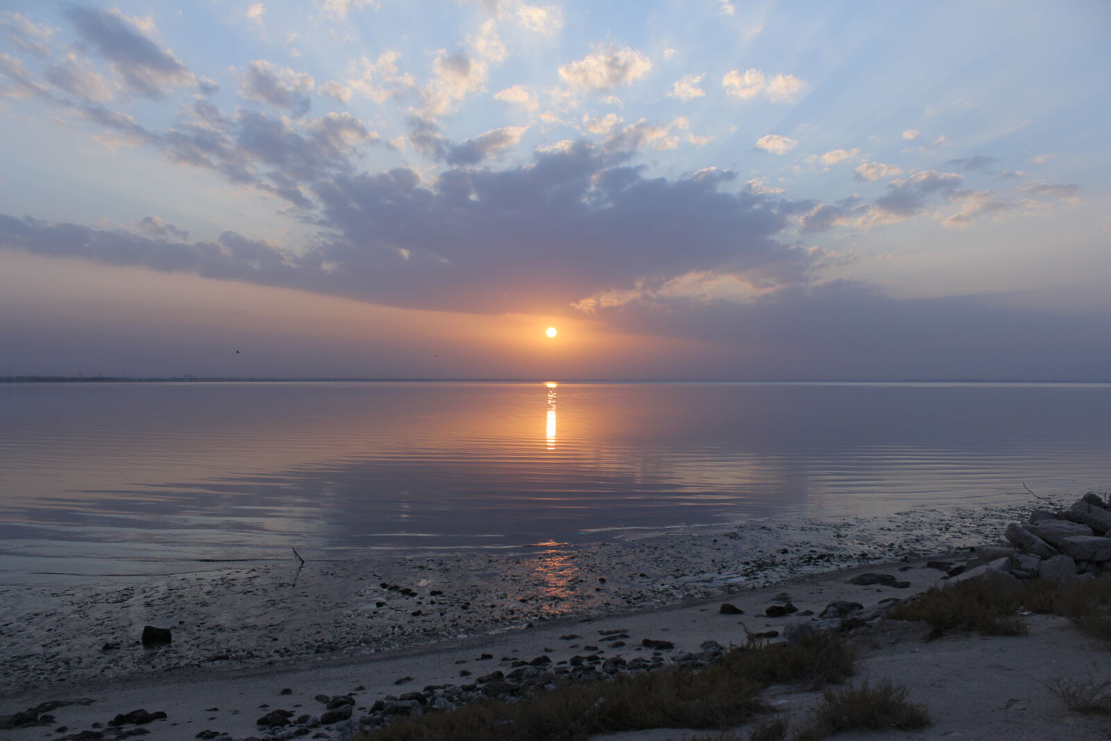 Canon EOS 60D sample photo