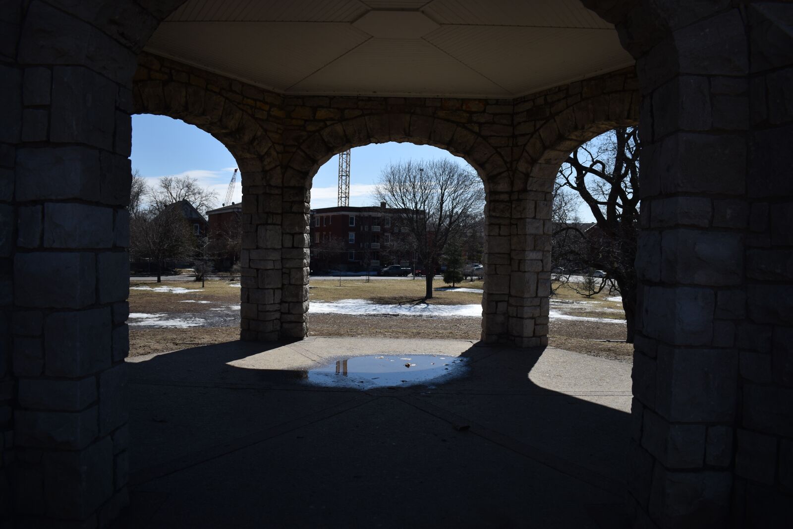 Nikon D3500 sample photo