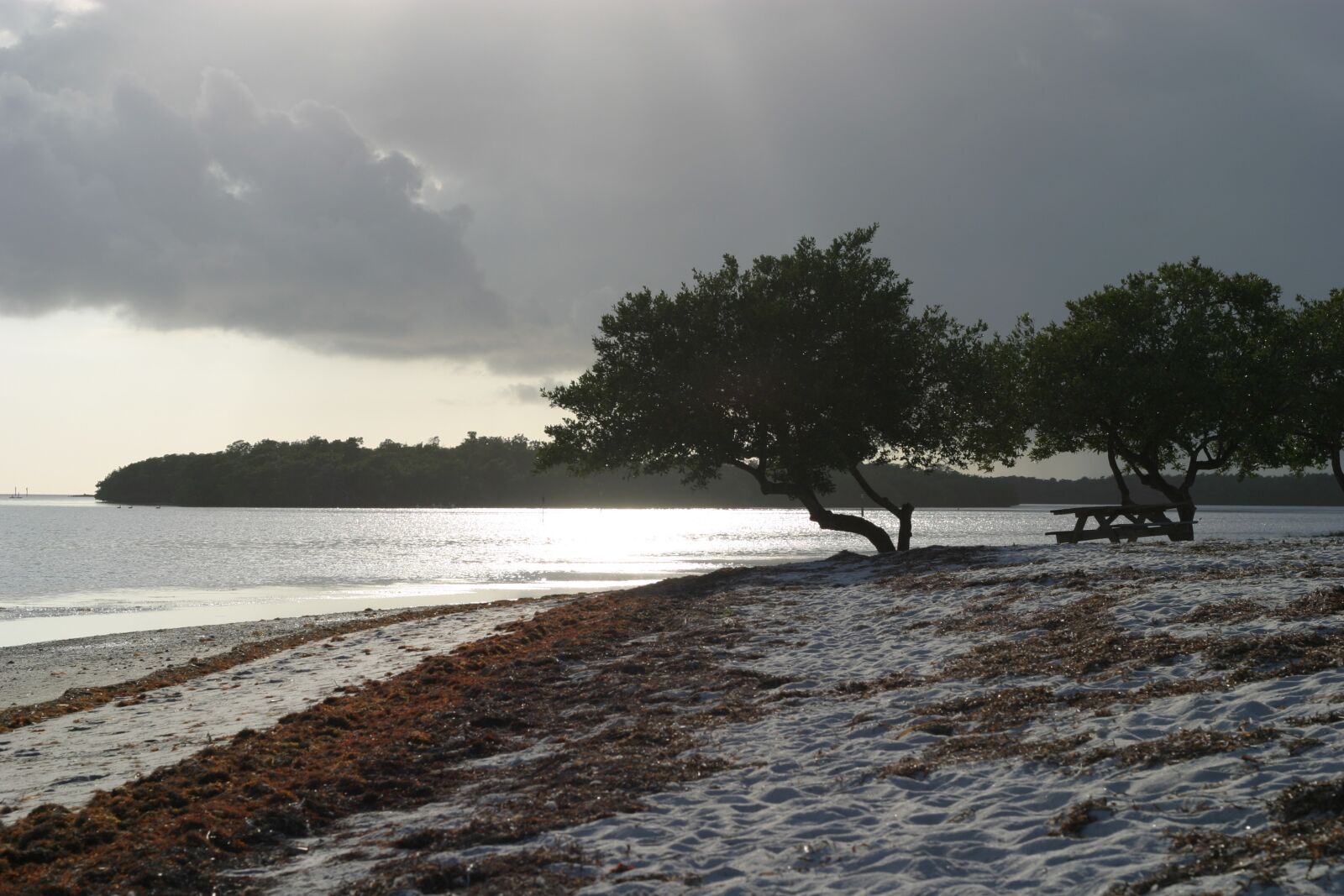 Canon EOS 10D sample photo. Florida keys, united states photography