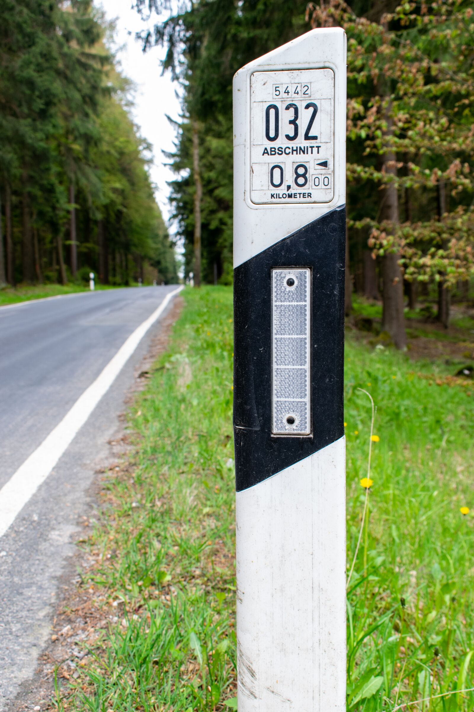 Nikon D5300 sample photo. Delineator posts, street boundary photography