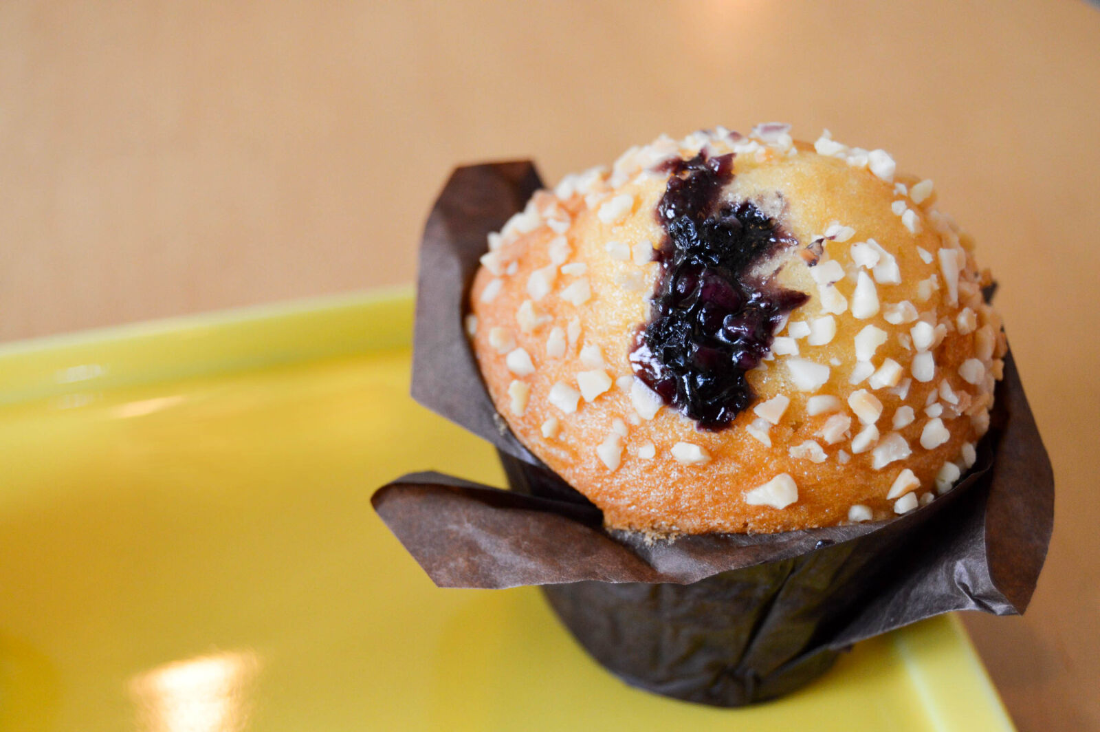 Nikon AF-S DX Nikkor 18-55mm F3.5-5.6G II sample photo. Blueberry, muffins, cupcake, muffin photography