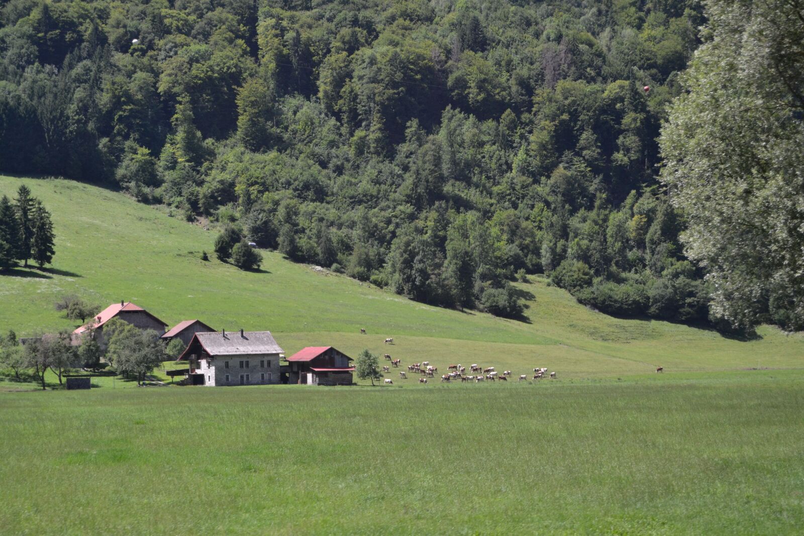 Nikon D3100 sample photo. France, field, village photography