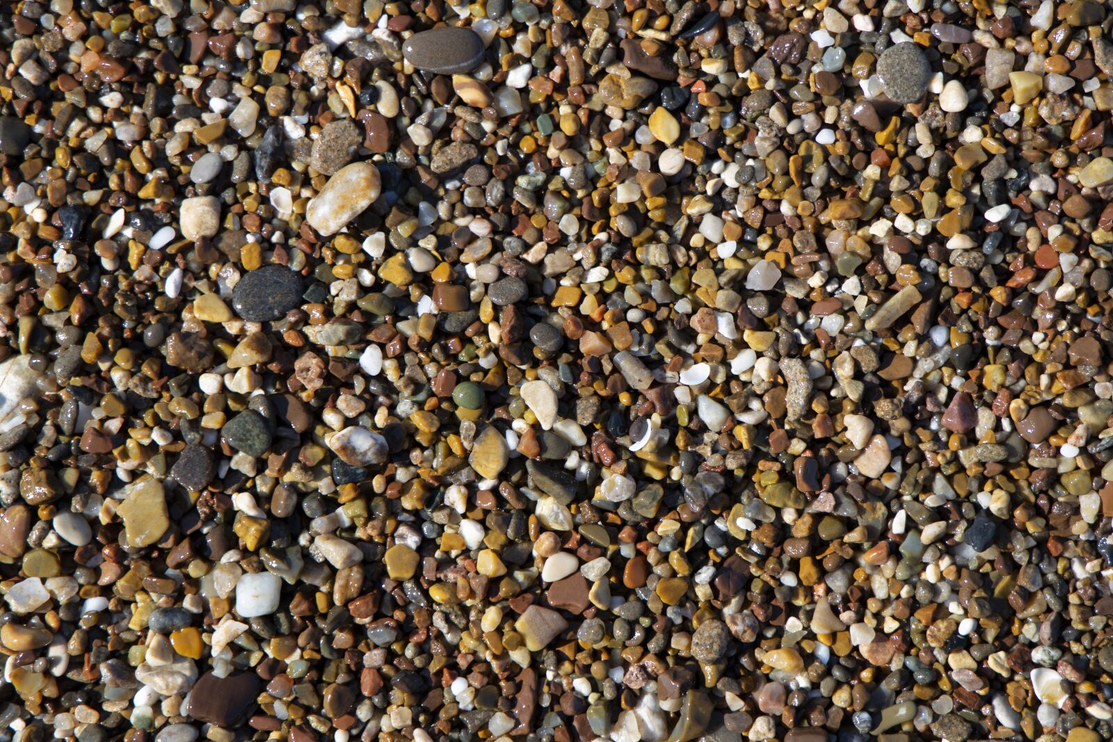 Canon RF 24-105mm F4L IS USM sample photo. Beach, gravel, stone photography
