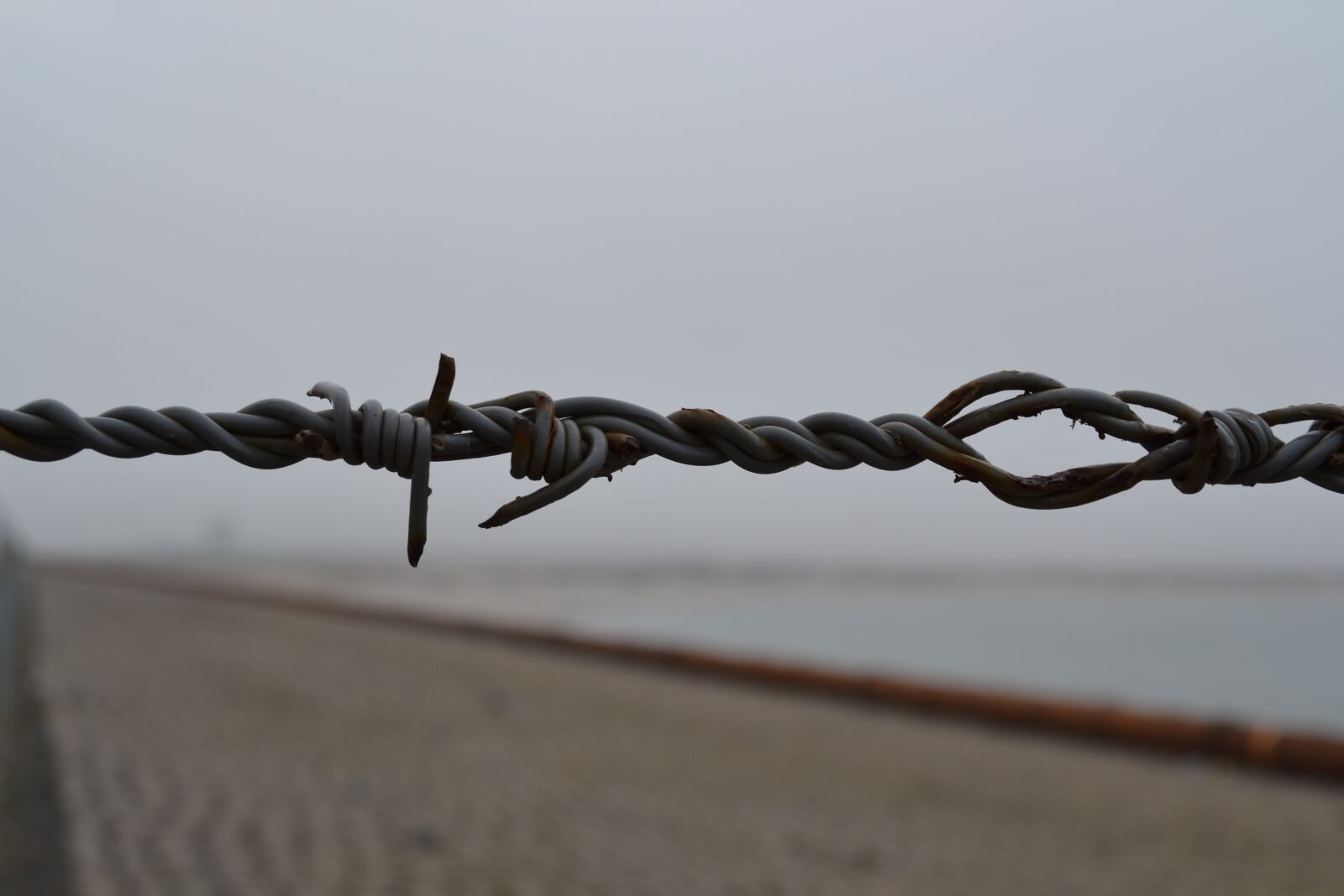 Nikon D3100 sample photo. Barbed wire, barb wire photography