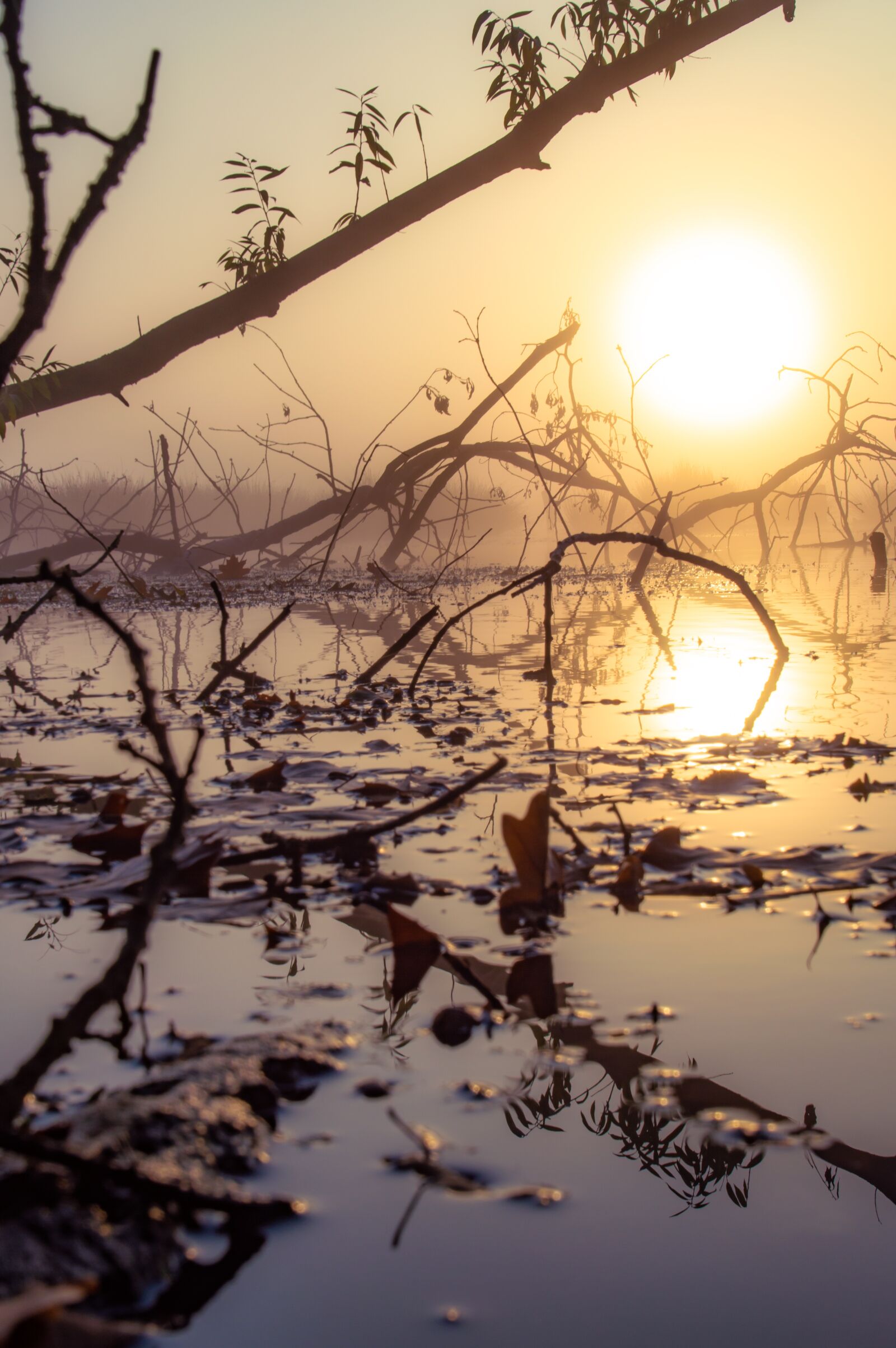 Nikon D3200 sample photo. Sunrise, lake, water photography