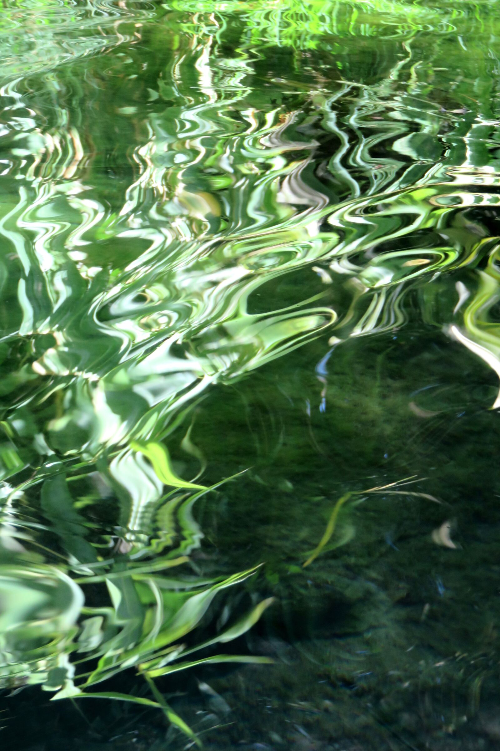 Canon PowerShot SX710 HS sample photo. Water, reflections, green photography