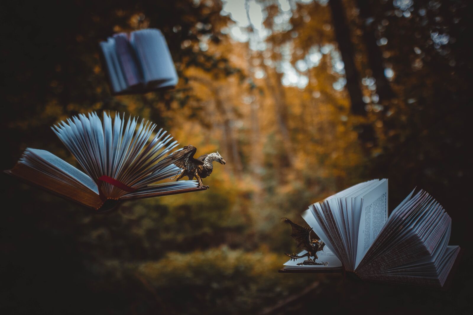 Sony a6400 + Sigma 16mm F1.4 DC DN | C sample photo. Knife, nature, green photography