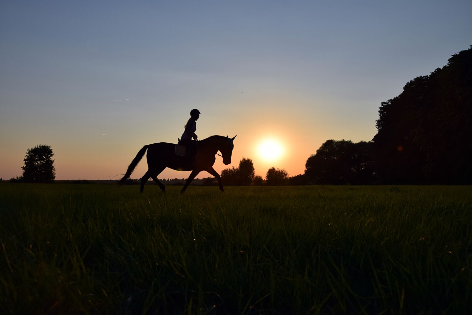 Nikon D3300 sample photo. Ride, trot, sunset photography