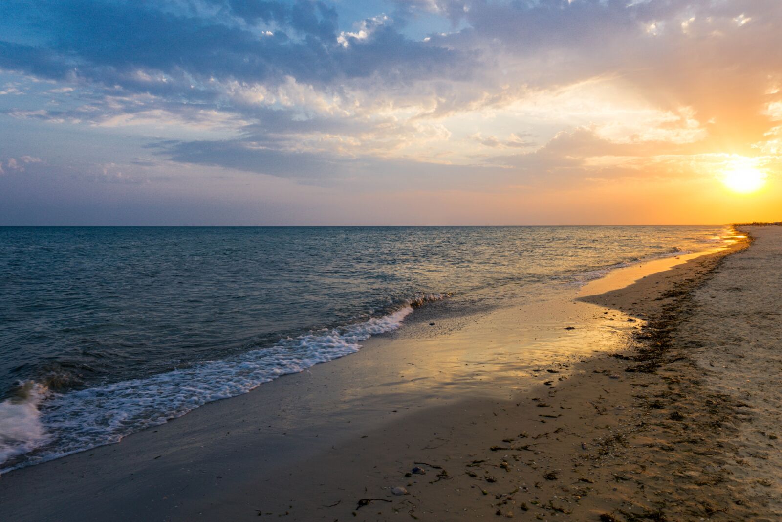 Sony a6000 sample photo. Sunset, bird, sea photography