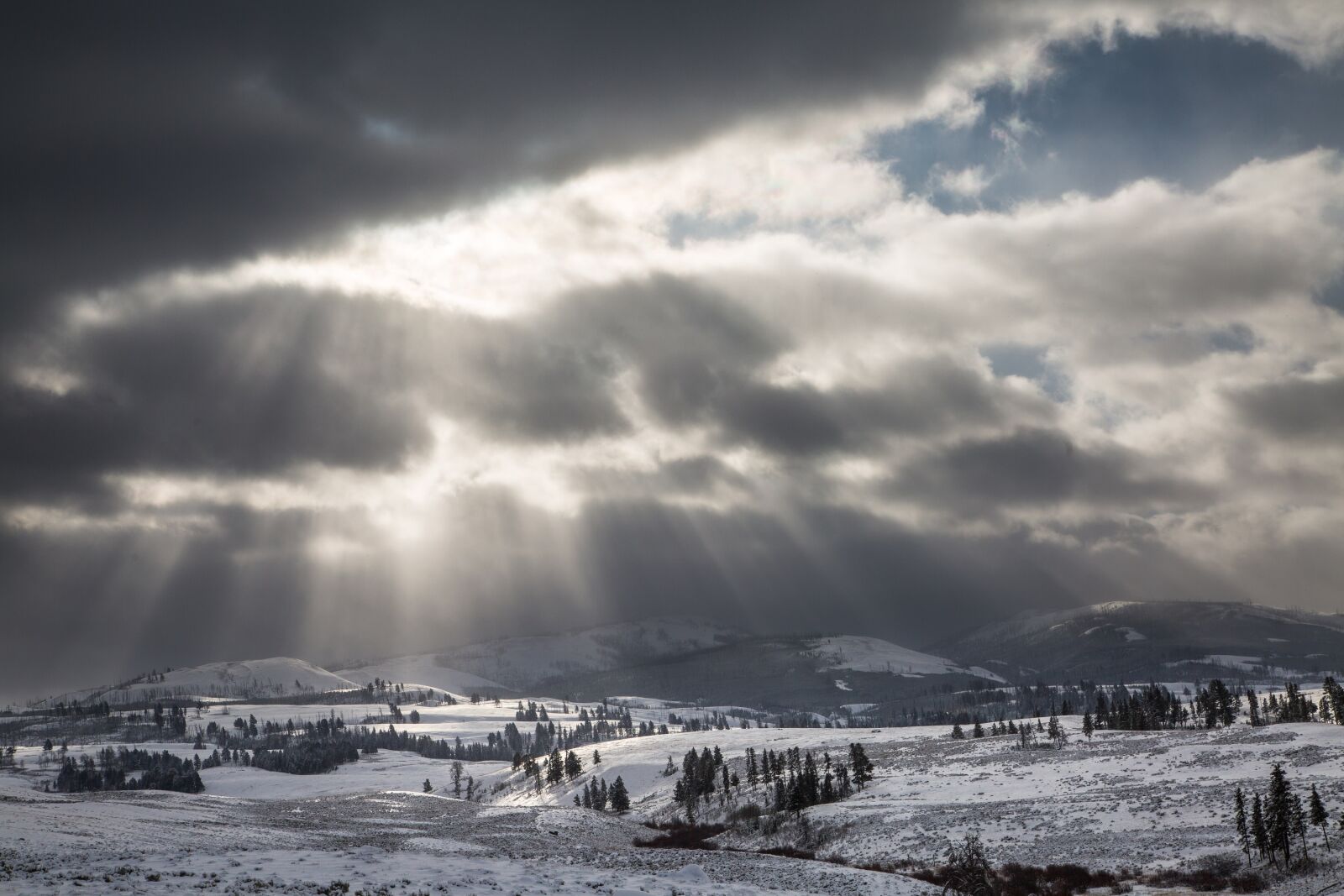 Canon EF 24-105mm F4L IS USM sample photo. Crepuscular rays, sunlight, nature photography