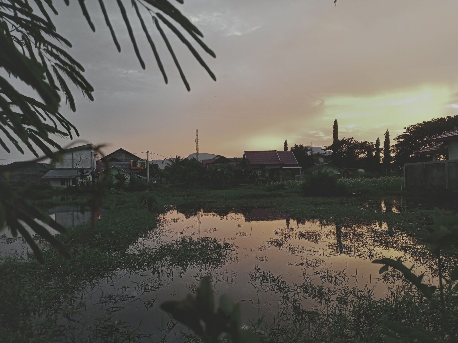 OPPO F7 sample photo. Sunset, golden, sky photography