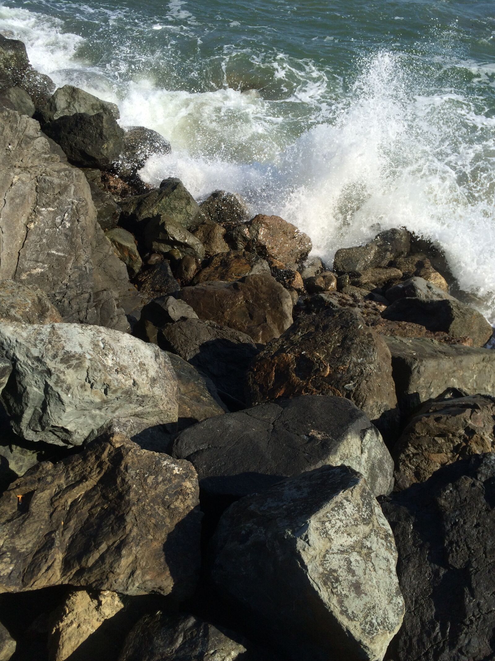 iPhone 5s back camera 4.15mm f/2.2 sample photo. Golden gate bridge, san photography