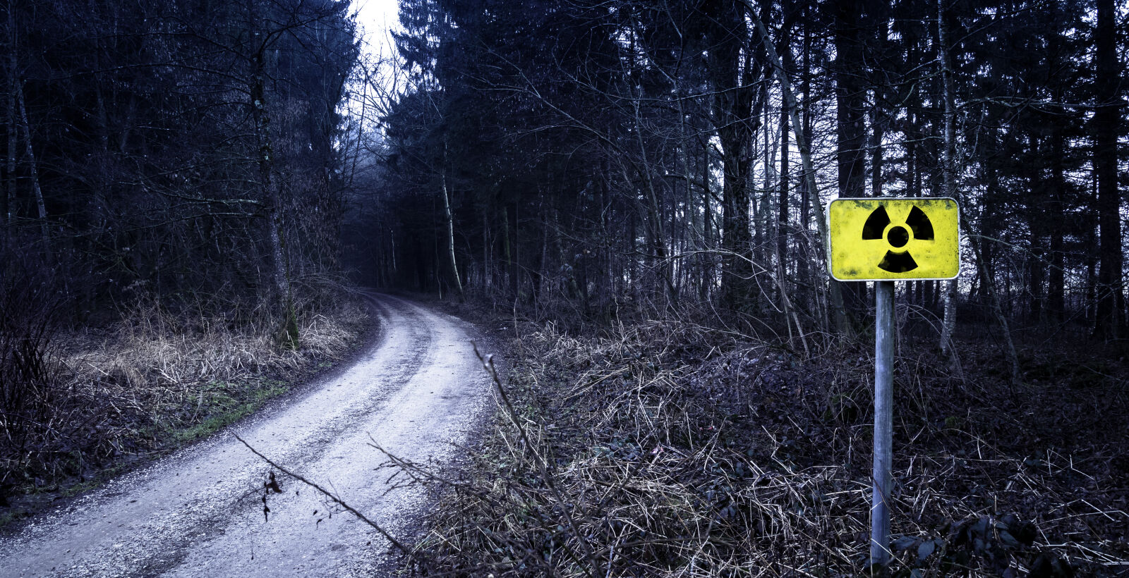 Nikon D610 sample photo. Danger, daylight, dry, environment photography