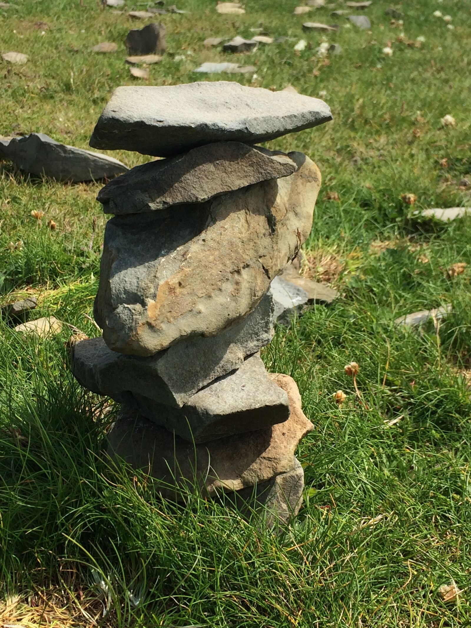 iPhone 5s back camera 4.15mm f/2.2 sample photo. Ireland, loop head, stones photography