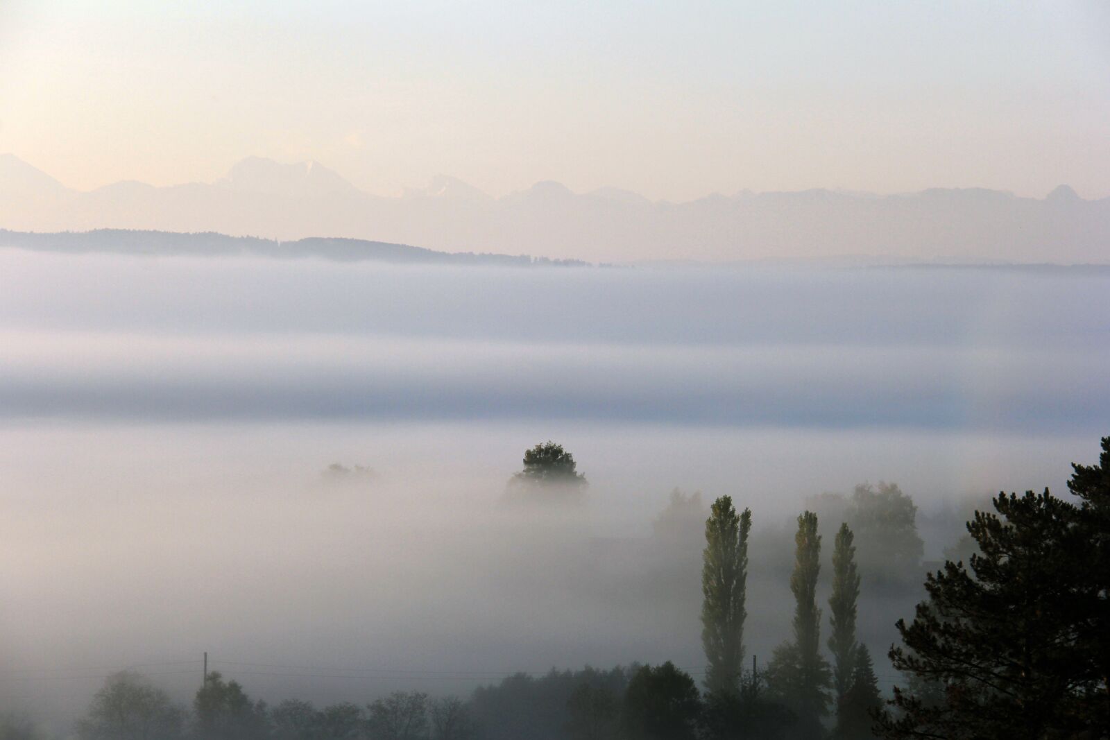 Canon EOS 60D sample photo. Fog, autumn, landscape photography