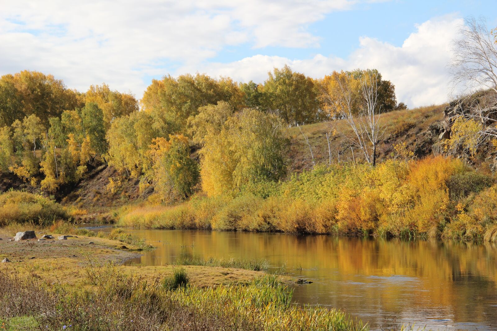 Canon EOS 600D (Rebel EOS T3i / EOS Kiss X5) sample photo. Nature, autumn, river photography