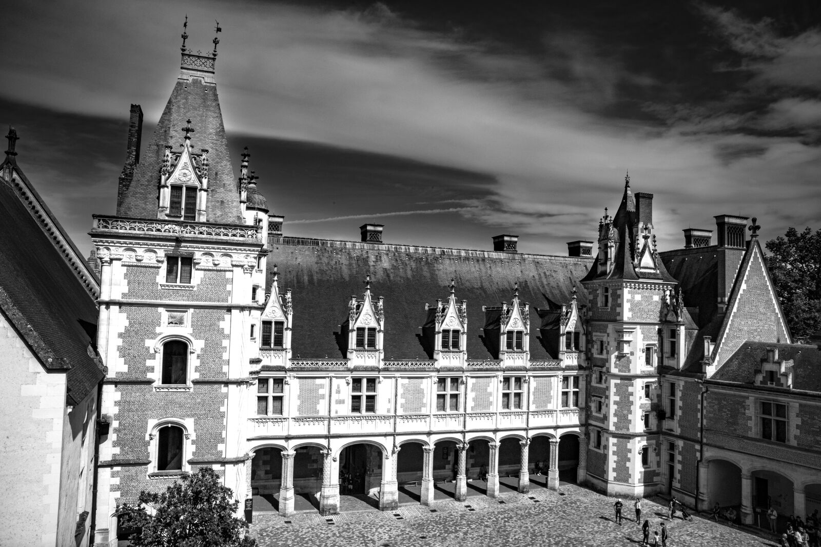 Canon 24-70mm F2.8 DG OS HSM | Art 017 sample photo. Castle, blois, architecture photography