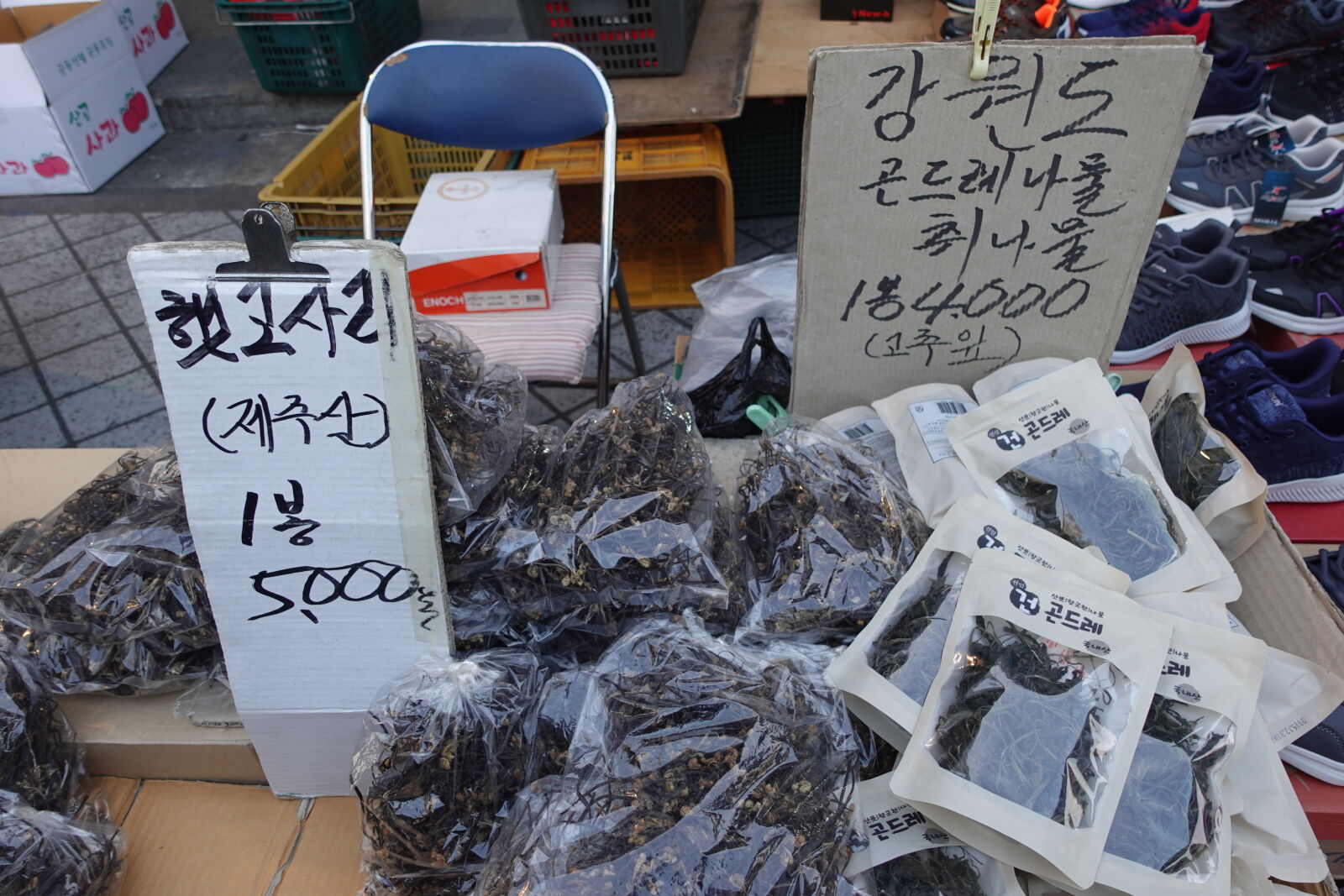 Sony ZV-1 sample photo
