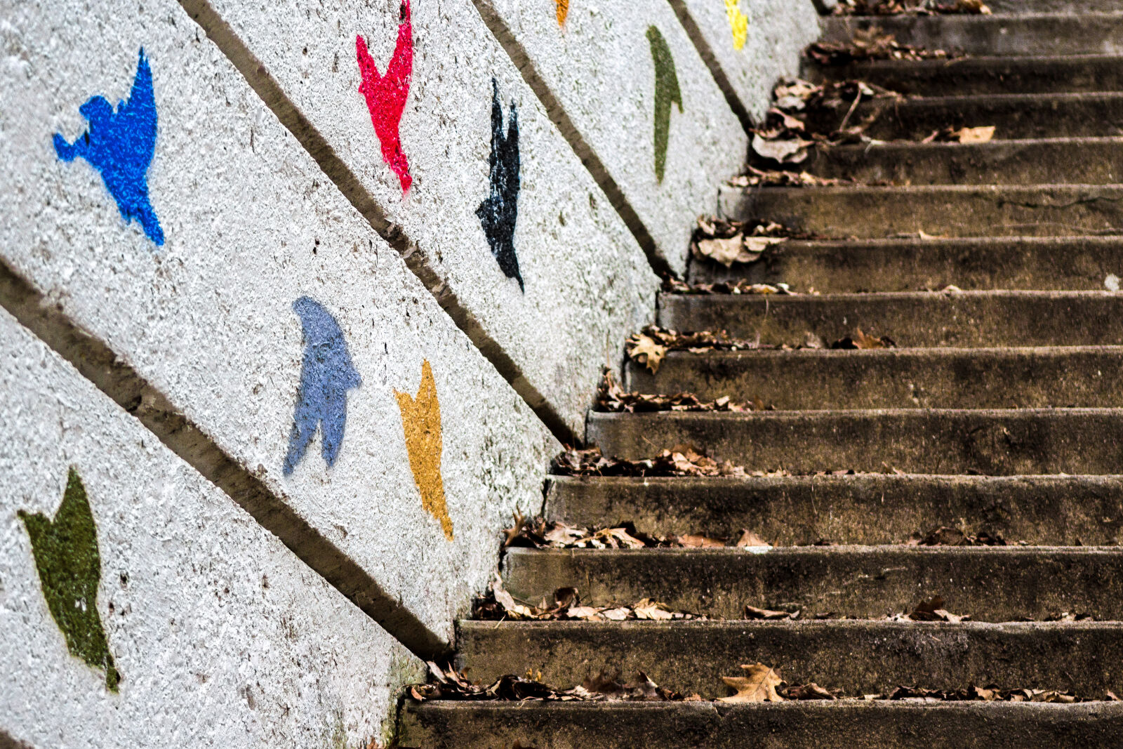 Canon EF 75-300mm f/4-5.6 sample photo. Bird, canon, stairs photography