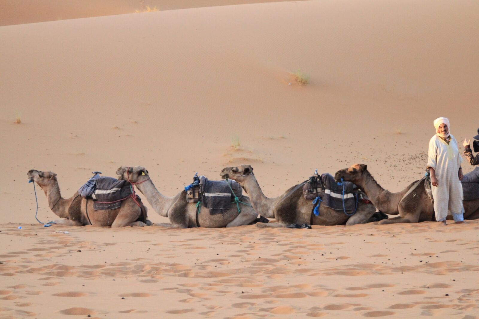 Canon EOS 7D + Canon EF 24-105mm F4L IS USM sample photo. Desert, sahara, moroccan photography