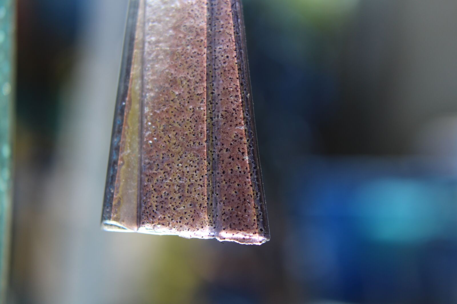 Canon EOS 100D (EOS Rebel SL1 / EOS Kiss X7) sample photo. Macro, glass, reflection photography