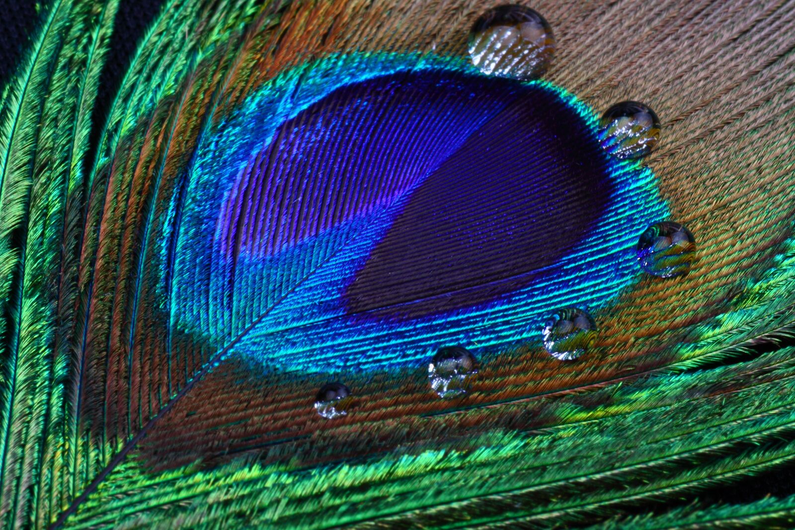Canon EOS 50D sample photo. Desktop, pattern, abstract photography