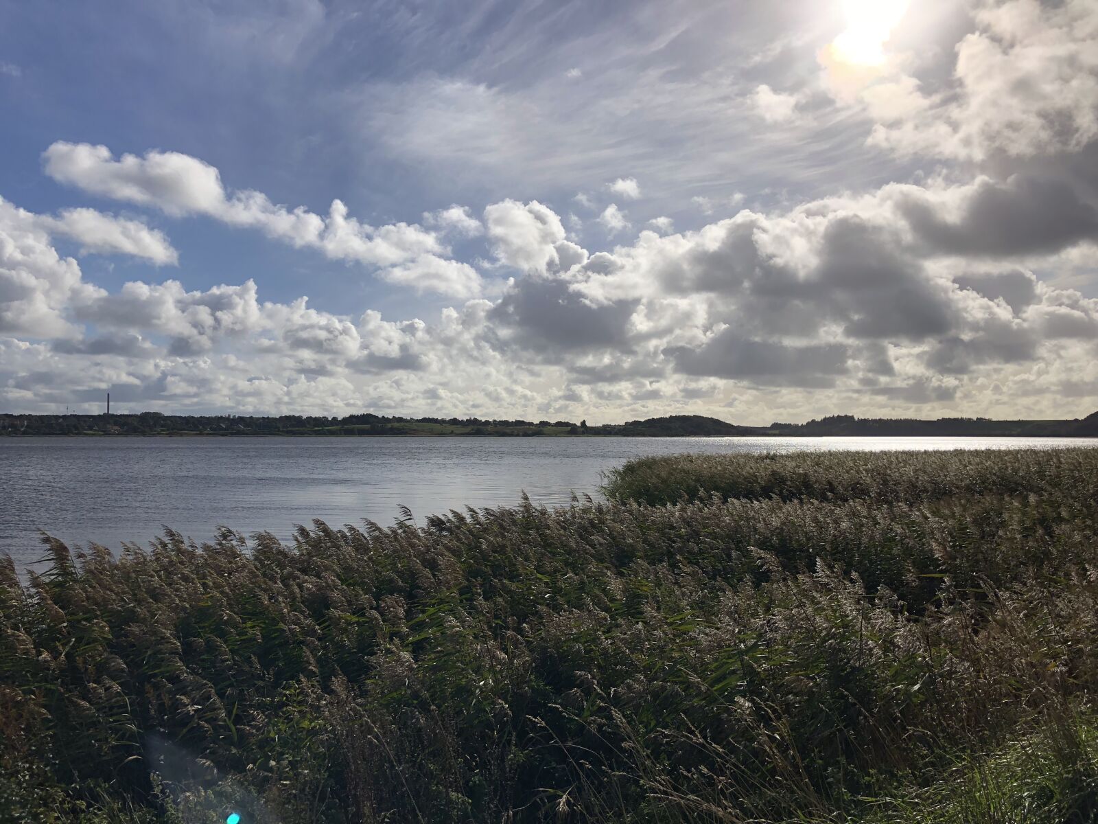 iPhone 8 back camera 3.99mm f/1.8 sample photo. Denmark, fjord, abendstimmung photography