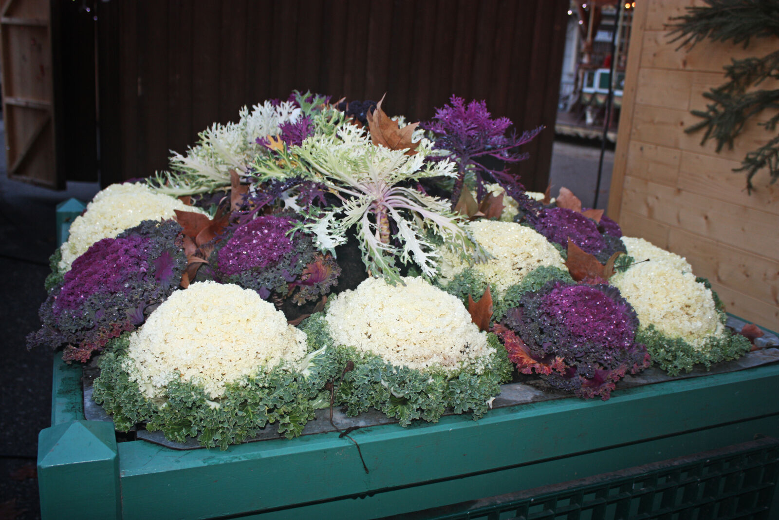 Canon EOS 450D (EOS Rebel XSi / EOS Kiss X2) sample photo. Cold, colorful, decorations, eat photography