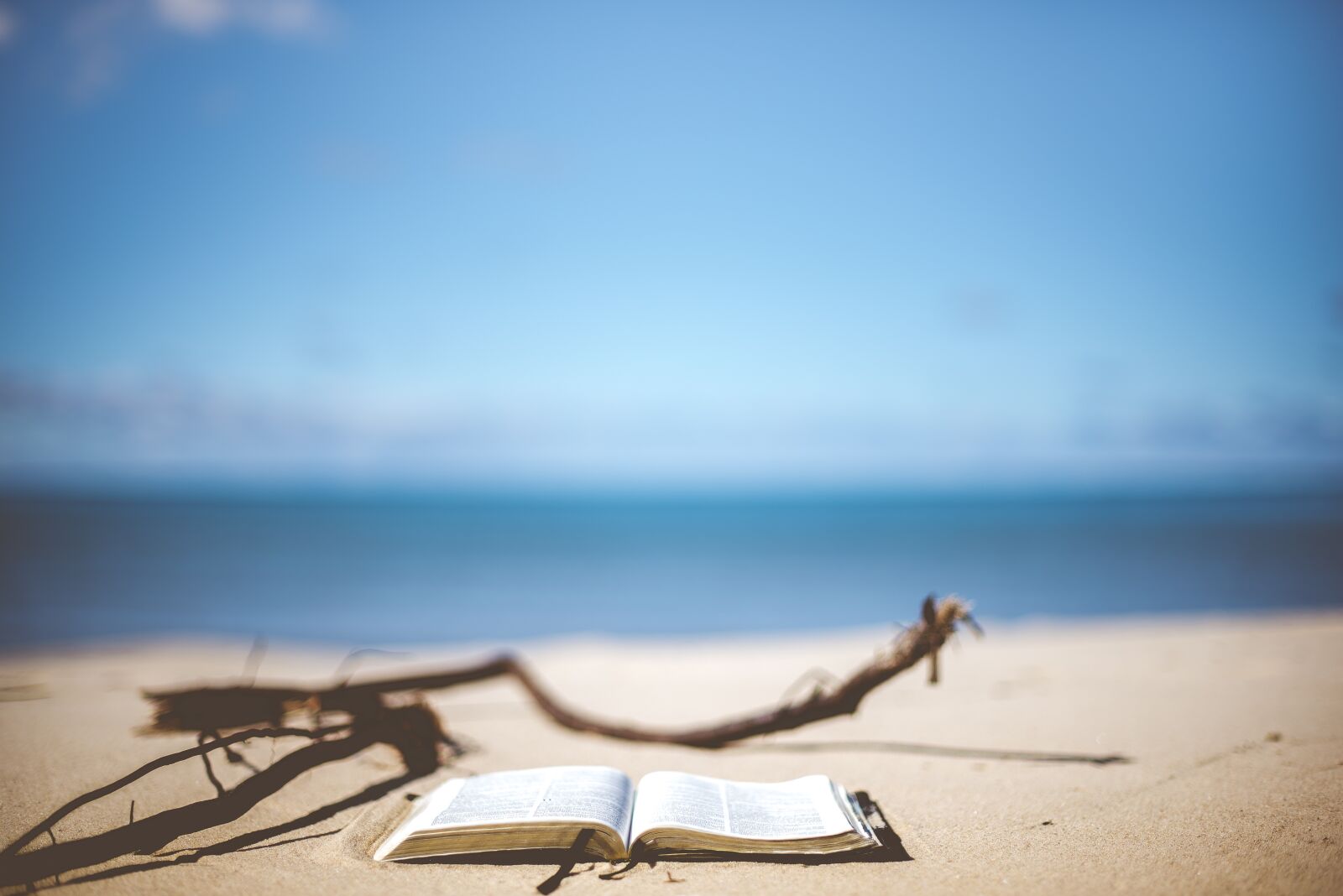 Nikon D750 sample photo. Beach, book, reading photography